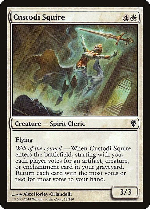 Custodi Squire 018/210