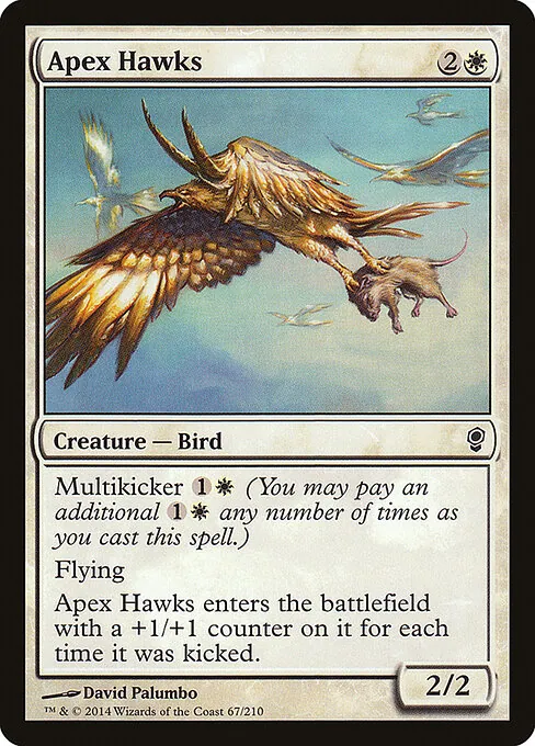 Apex Hawks 067/210