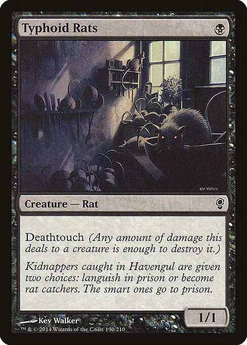 Typhoid Rats 130/210
