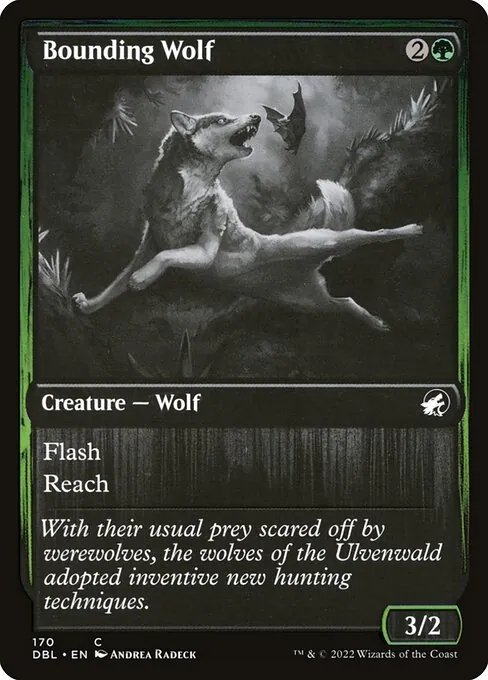Bounding Wolf 170/535