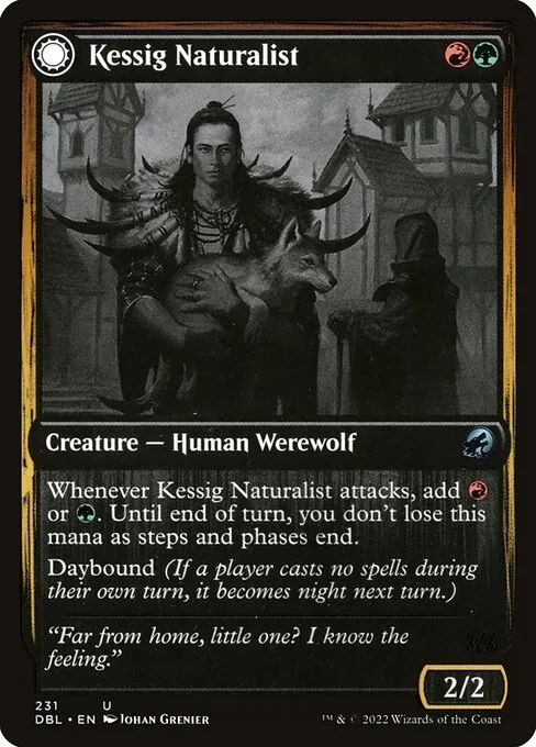 Kessig Naturalist // Lord of the Ulvenwald 231/535