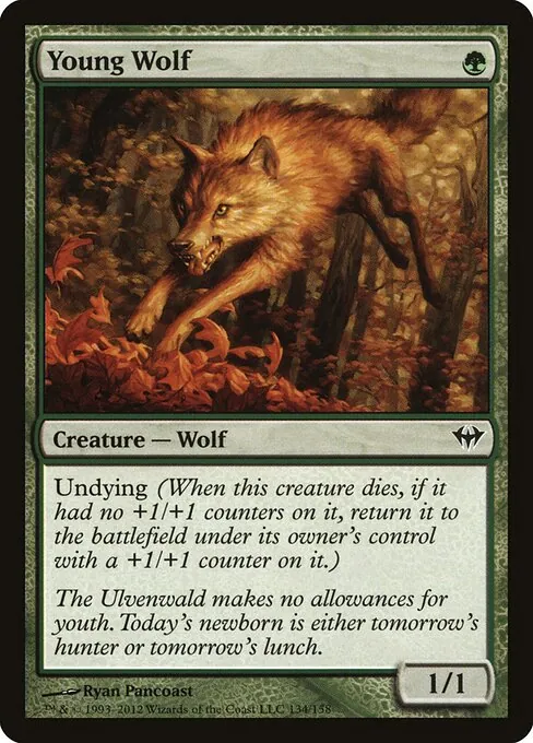 Young Wolf 134/158