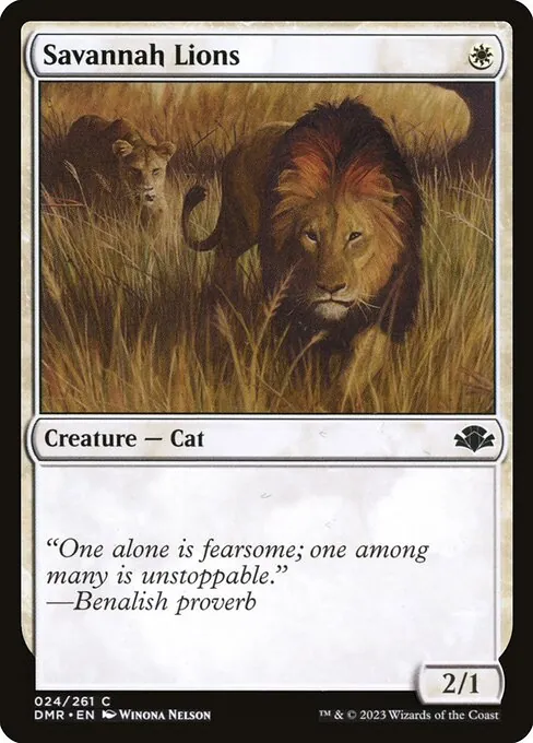 Savannah Lions 024/271