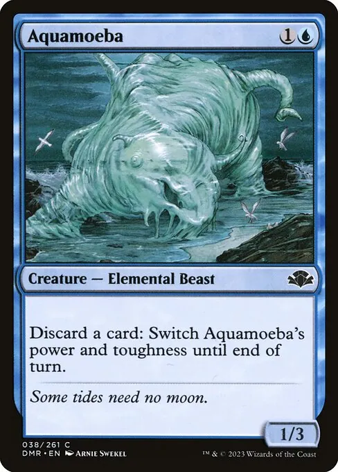Aquamoeba 038/271