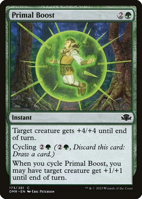 Primal Boost 173/271