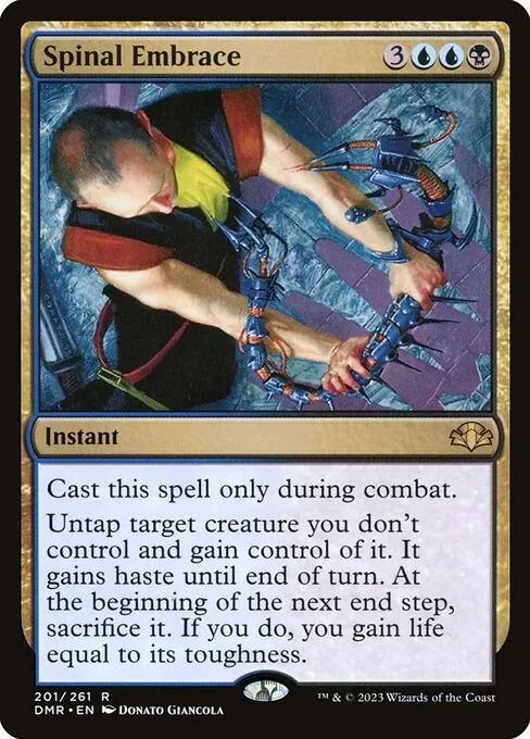 Spinal Embrace 201/271