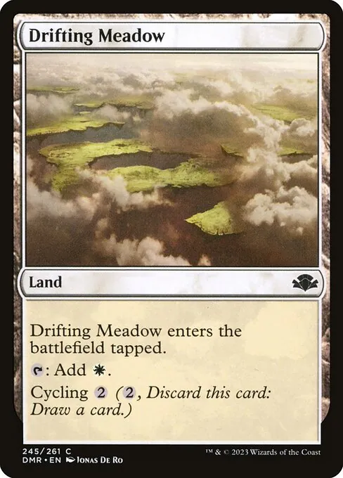 Drifting Meadow 245/271