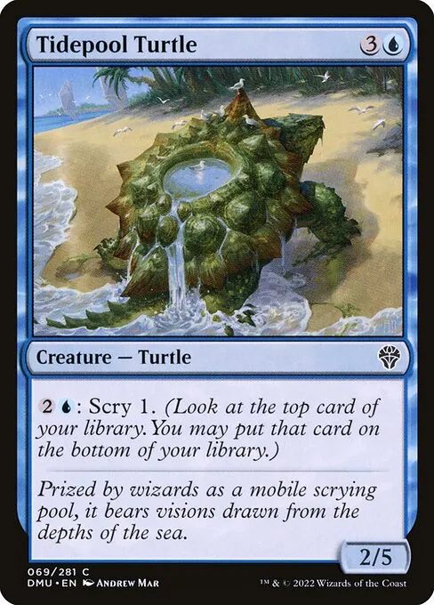 Tidepool Turtle 069/281