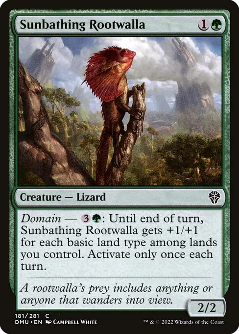 Sunbathing Rootwalla 181/281