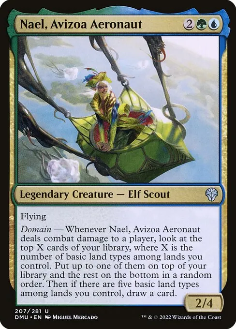 Nael, Avizoa Aeronaut 207/281