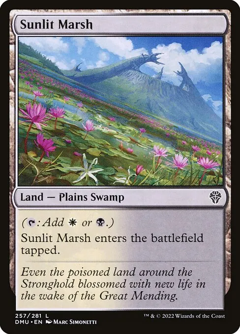 Sunlit Marsh 257/281