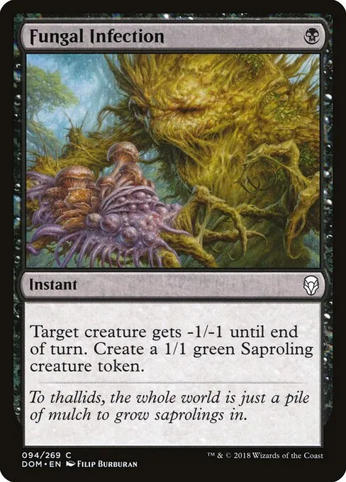 Fungal Infection 094/269