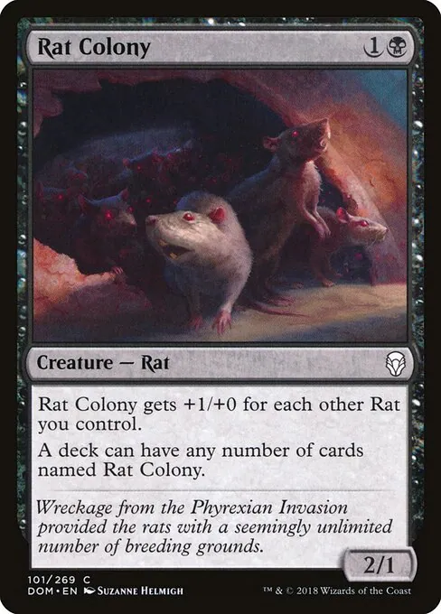 Rat Colony 101/269
