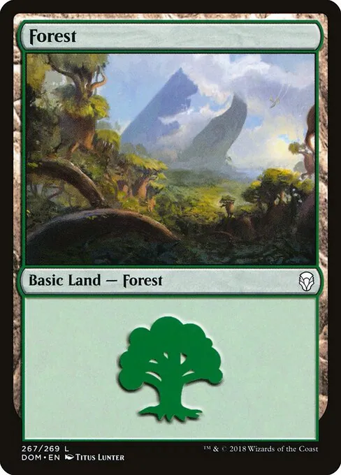 Forest 267/269