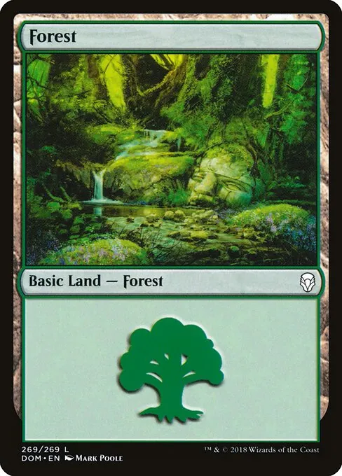 Forest 269/269