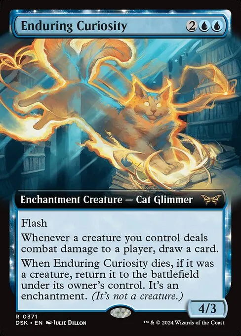 Enduring Curiosity 371/286