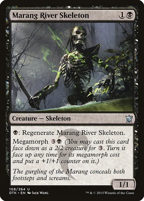 Marang River Skeleton 108/264