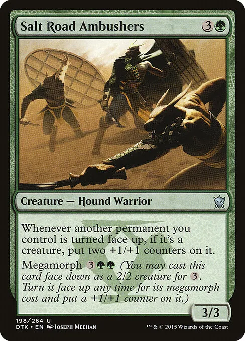 Salt Road Ambushers 198/264