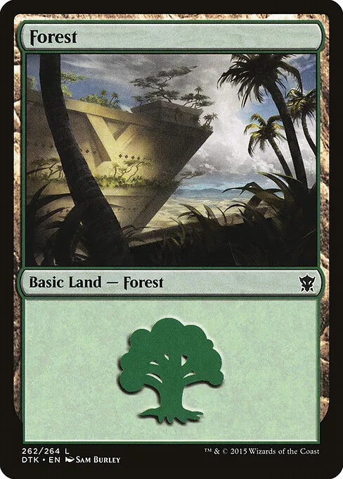 Forest 262/264