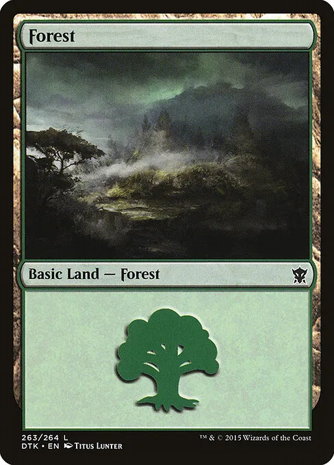 Forest 263/264