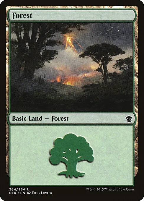Forest 264/264