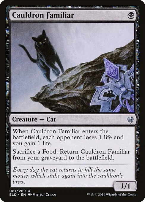 Cauldron Familiar 081/300