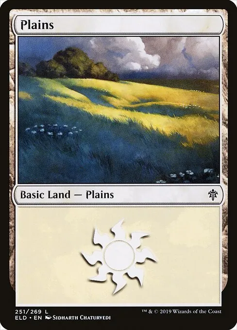 Plains 251/300