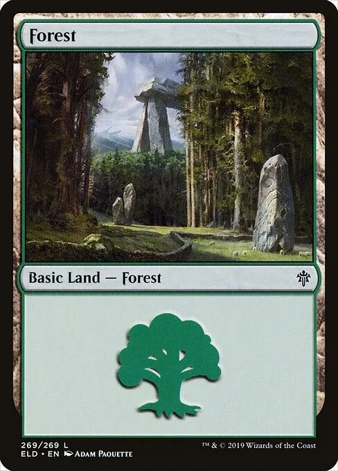 Forest 269/300