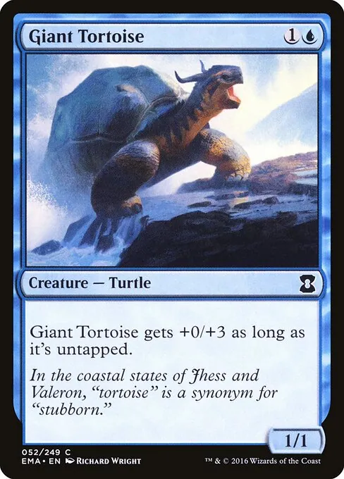 Giant Tortoise 052/249