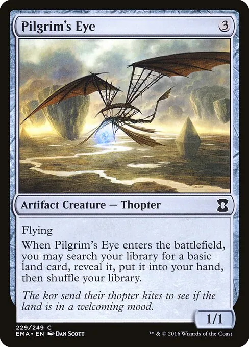 Pilgrim's Eye 229/249