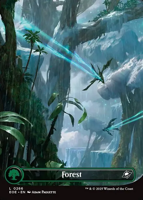 Forest 266/271