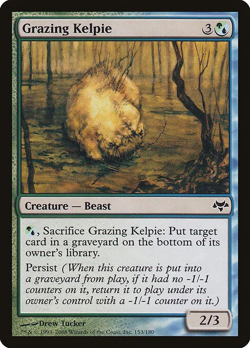 Grazing Kelpie 153/180