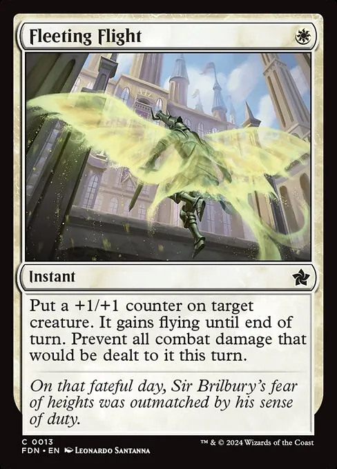 Fleeting Flight 013/291