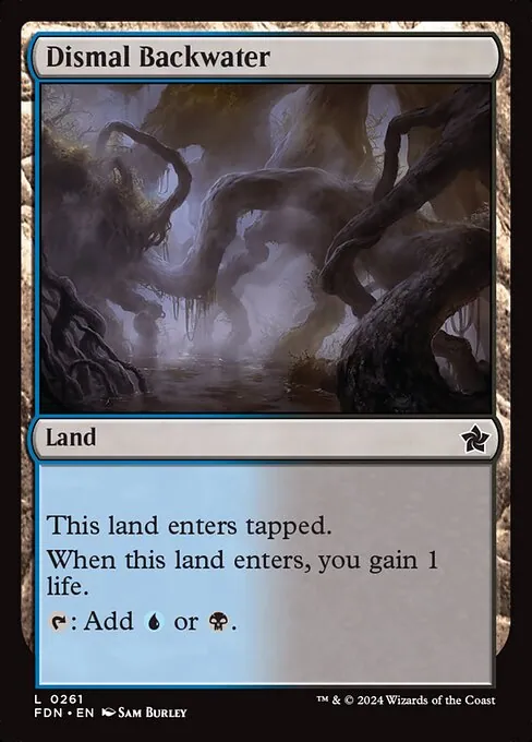 Dismal Backwater 261/291