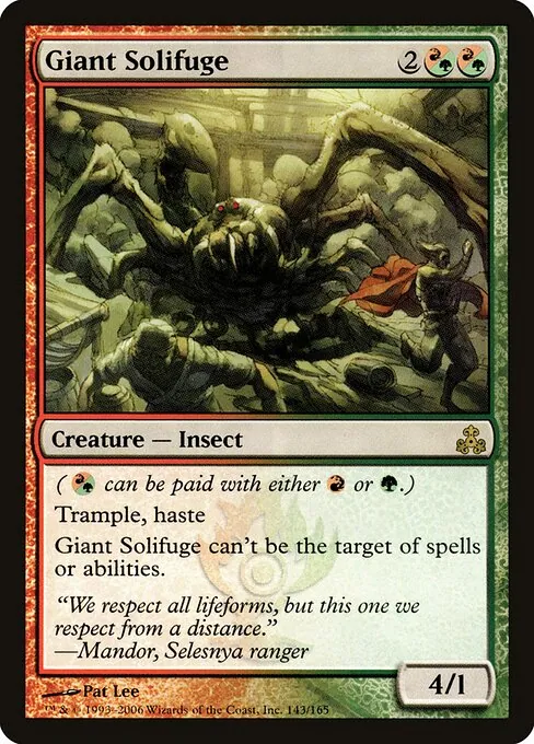 Giant Solifuge 143/165