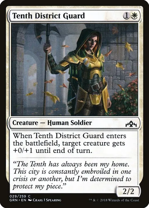 Tenth District Guard 029/259