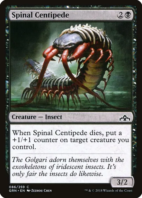 Spinal Centipede 086/259