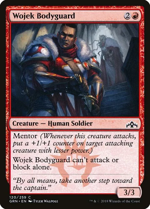 Wojek Bodyguard 120/259