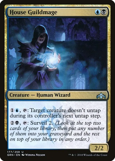 House Guildmage 177/259