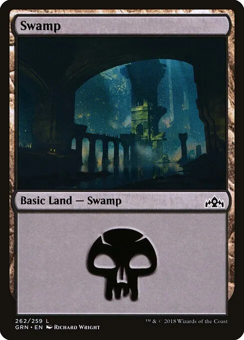 Swamp 262/259