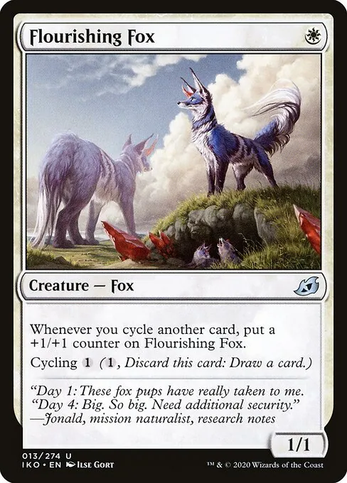 Flourishing Fox 013/274