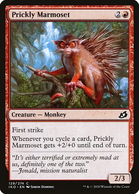 Prickly Marmoset 129/274