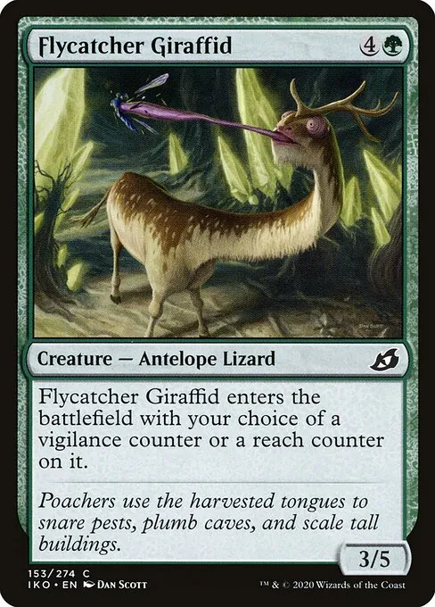 Flycatcher Giraffid 153/274