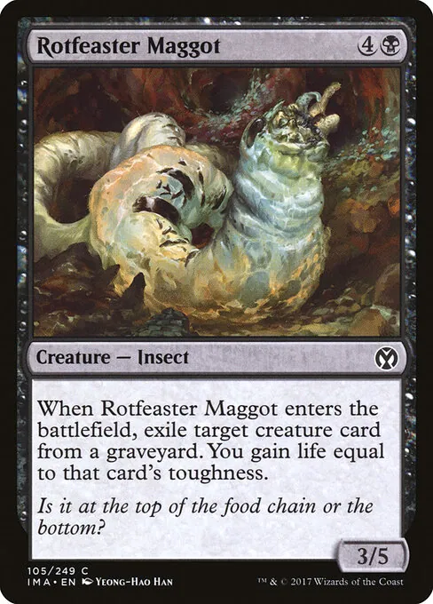 Rotfeaster Maggot 105/249