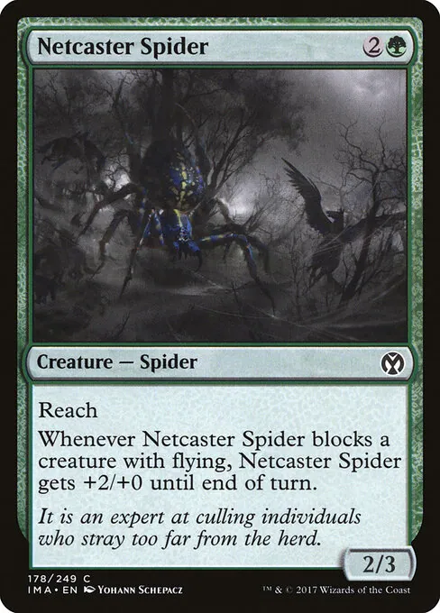 Netcaster Spider 178/249