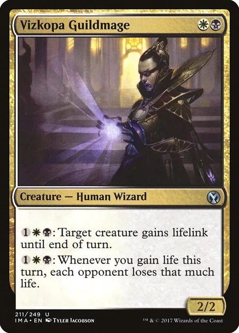 Vizkopa Guildmage 211/249
