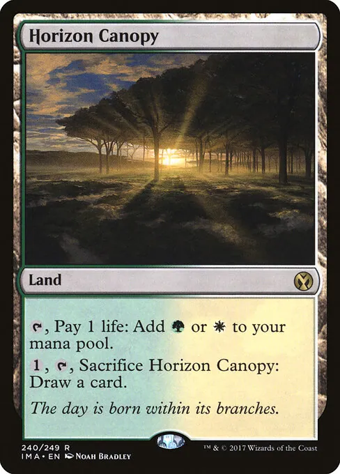Horizon Canopy 240/249