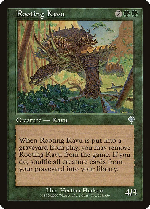 Rooting Kavu 207/350