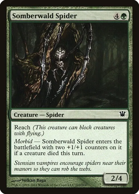 Somberwald Spider 202/264