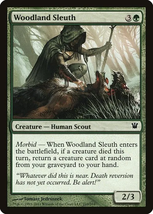 Woodland Sleuth 210/264